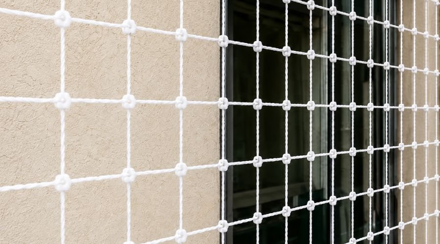 Bird netting protecting a residential building window in Chennai