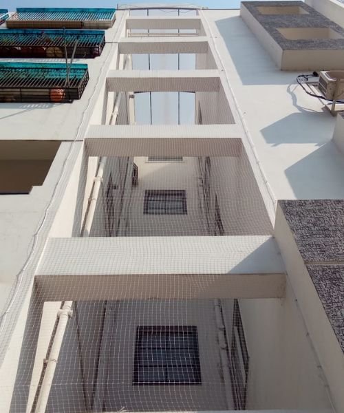 Gallery Image 11