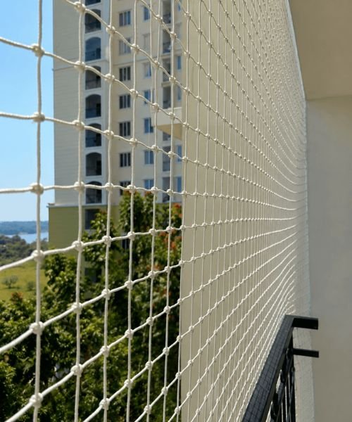 Gallery Image 9